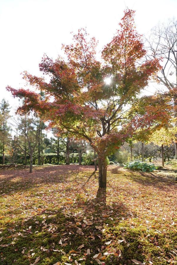 JAPANING Senkyu Villa Kyoto Eksteriør billede