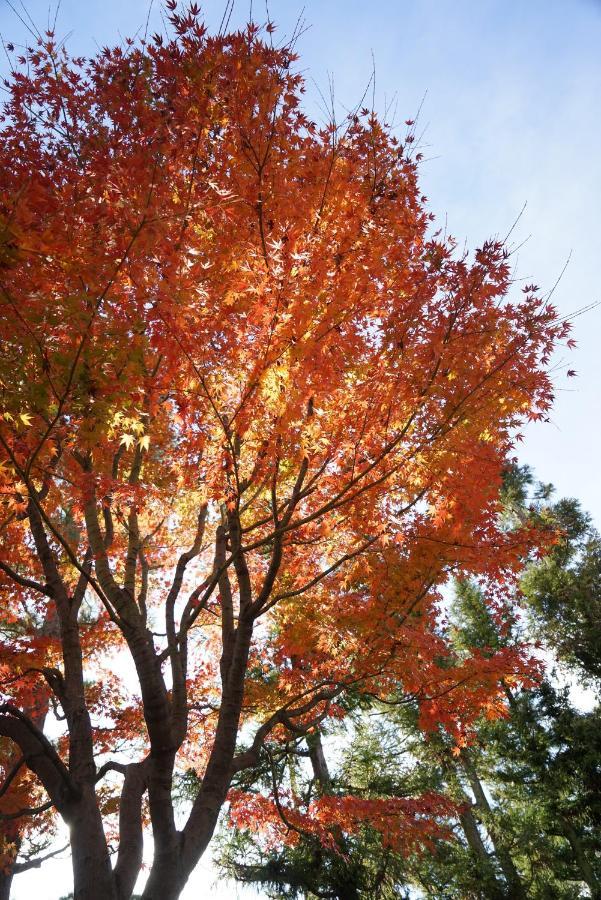 JAPANING Senkyu Villa Kyoto Eksteriør billede