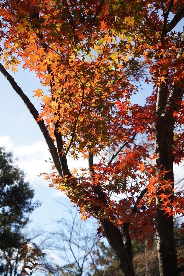 JAPANING Senkyu Villa Kyoto Eksteriør billede